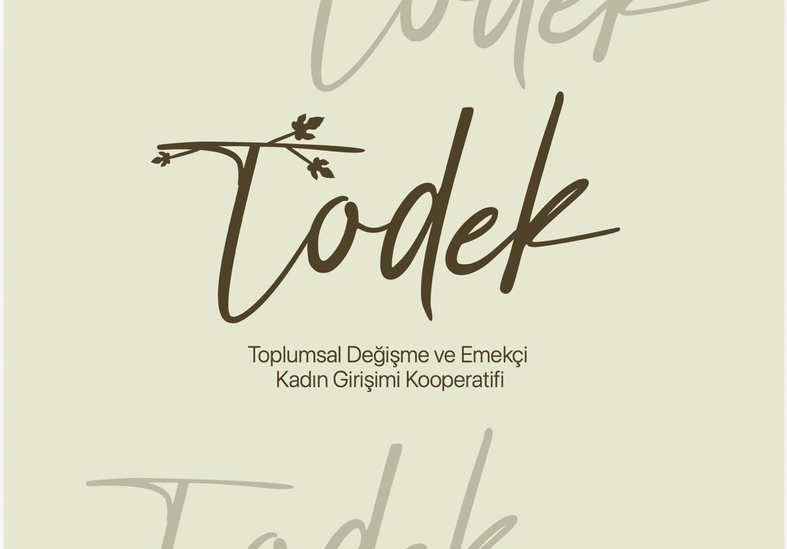 Toplumsal Değişme ve Emekçi Kadın Girişimi Kooperatifi
